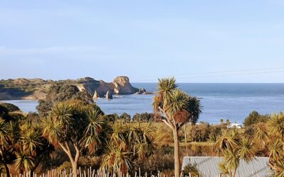 Marae Based Intensive Psychodrama Workshop 2026